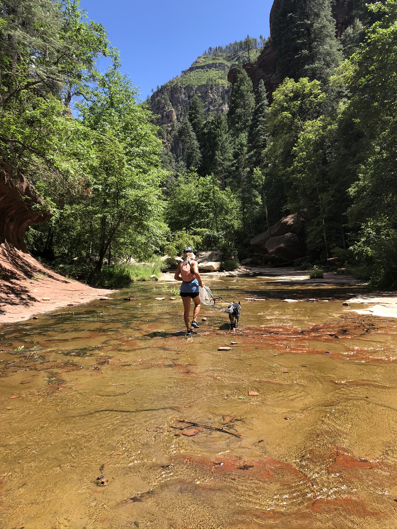 West Fork Trail